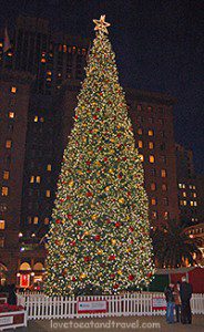 Christmas Tree Lighting - Union Square, San Francisco
