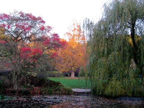 Seasonal colors at Isabella Plantation, Richmond Park, London - © L. Silberstein