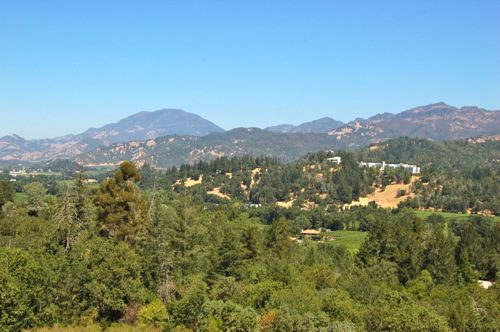 View from Terrace at Sterling Vineyards in Calistoga, Napa Valley - © LoveToEatAndTravel.com