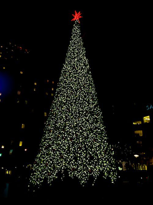Holiday Tree Lightings – © LoveToEatAndTravel.com