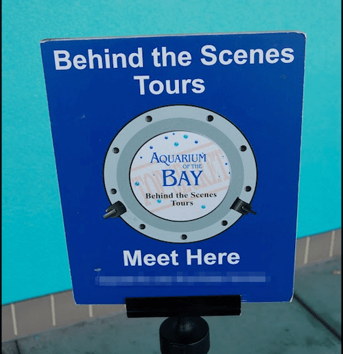 Behind-the-Scenes Tours at Aquarium of the Bay, San Francisco - photo © LoveToEatAndTravel.com