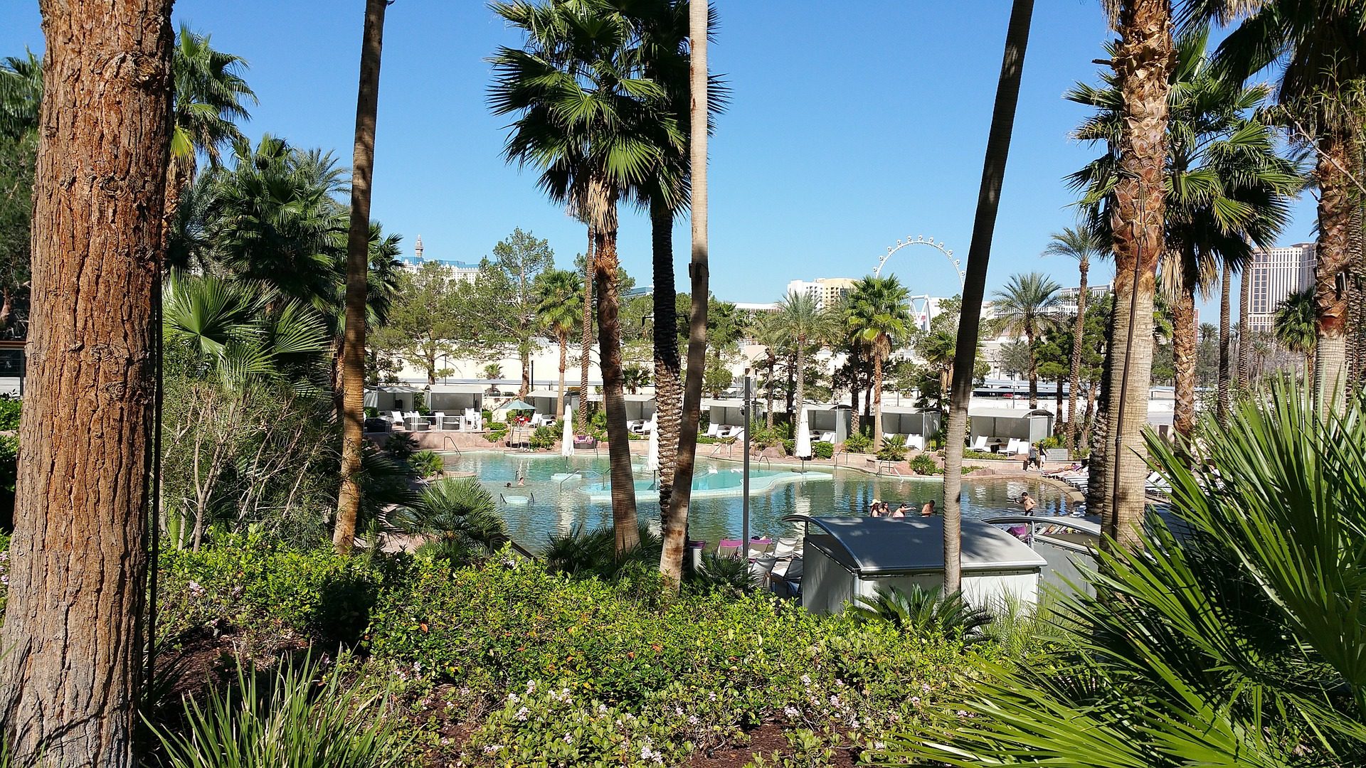 Topless Pools in Las Vegas - Love to Eat and Travel