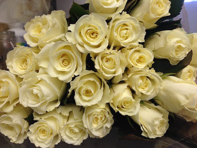 White Roses for Valentine's Day
