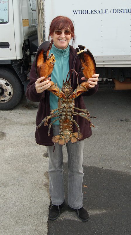 10+ lb Live Lobster held by Alana