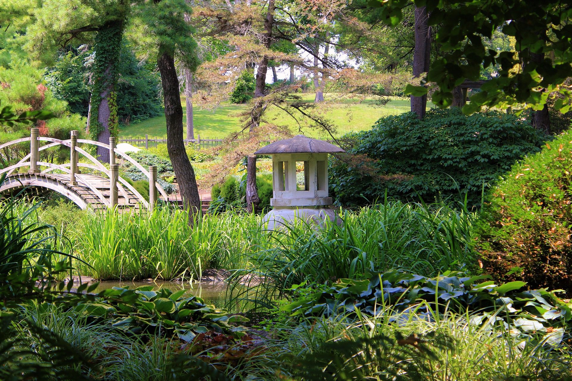 Japanese Tea Garden, Golden Gate Park, SF