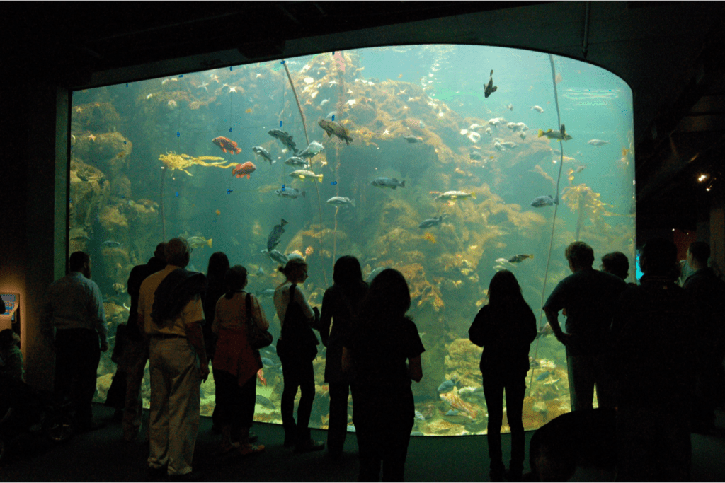Aquarium at California Academy of Sciences in Golden Gate Park, San Francisco